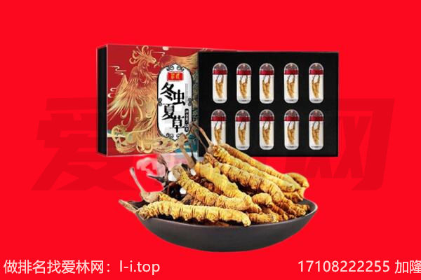 潜山市回收虫草.jpg